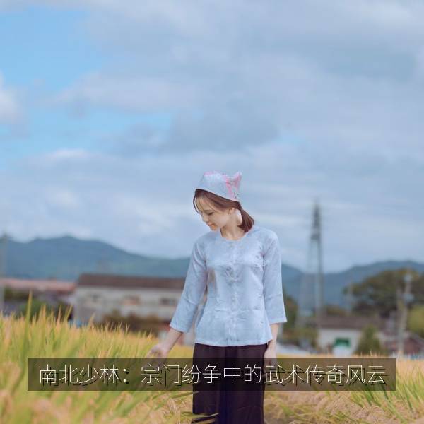 南北少林：宗门纷争中的武术传奇风云
